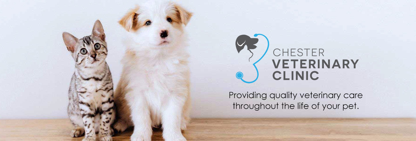 Quality Veterinary Services